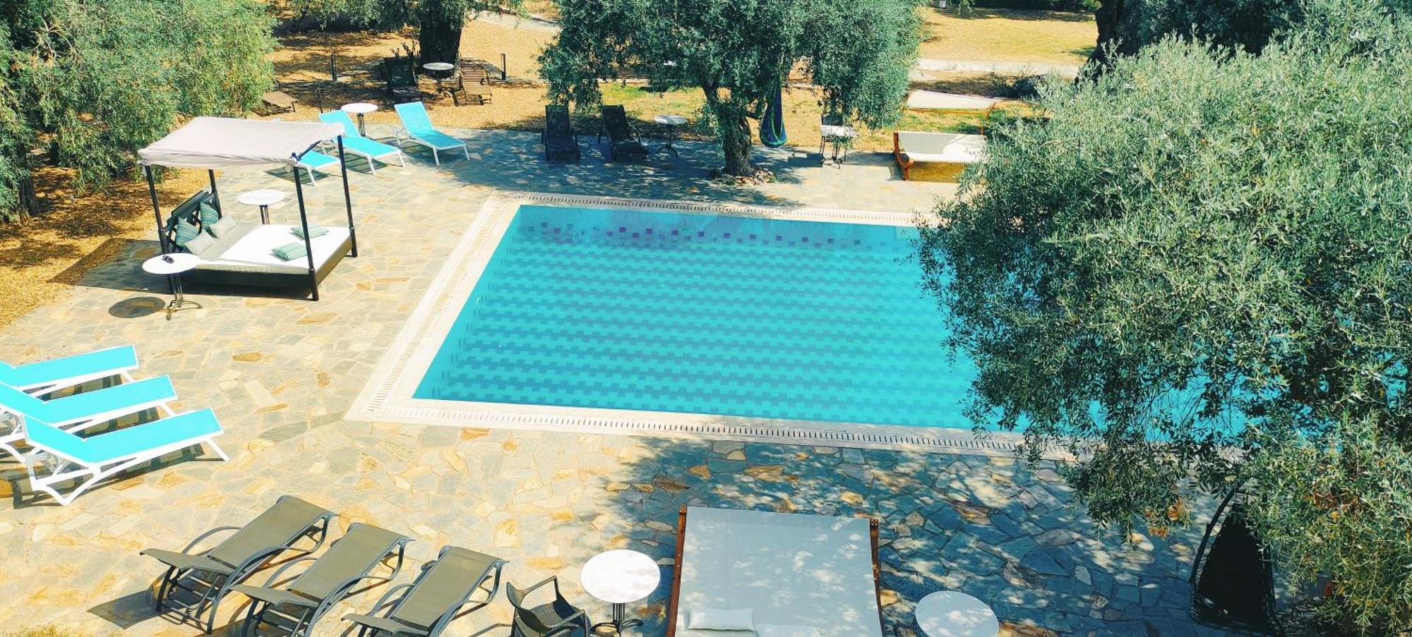 Ipsario Garden Hotel スカラ・ポタミアス エクステリア 写真